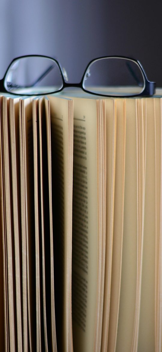 背单词 App 学习统计页截图，折线图展示近三十天记忆留存变化，柱状图显示每日复习量，书桌背景整洁